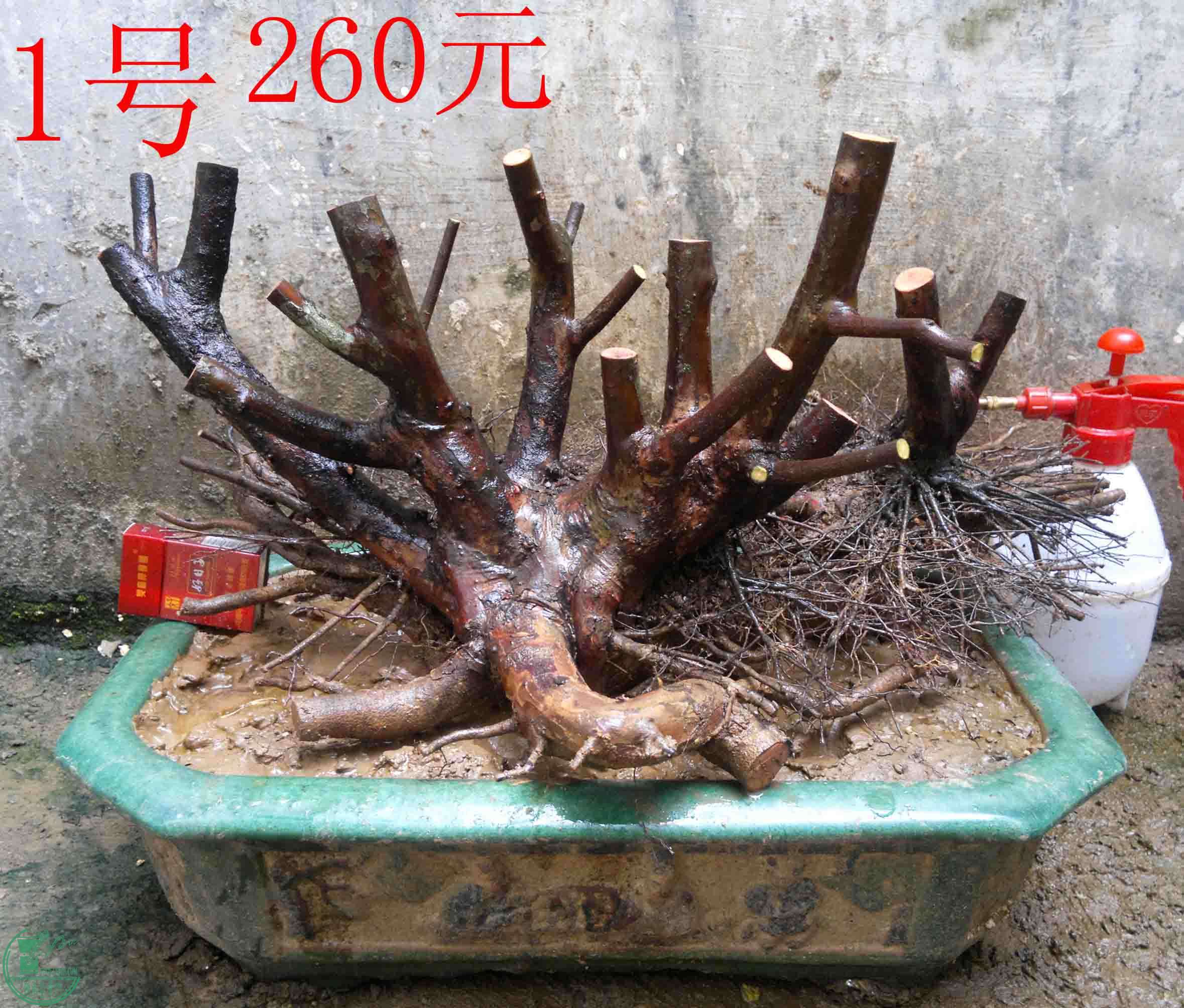 2016031713070.jpg