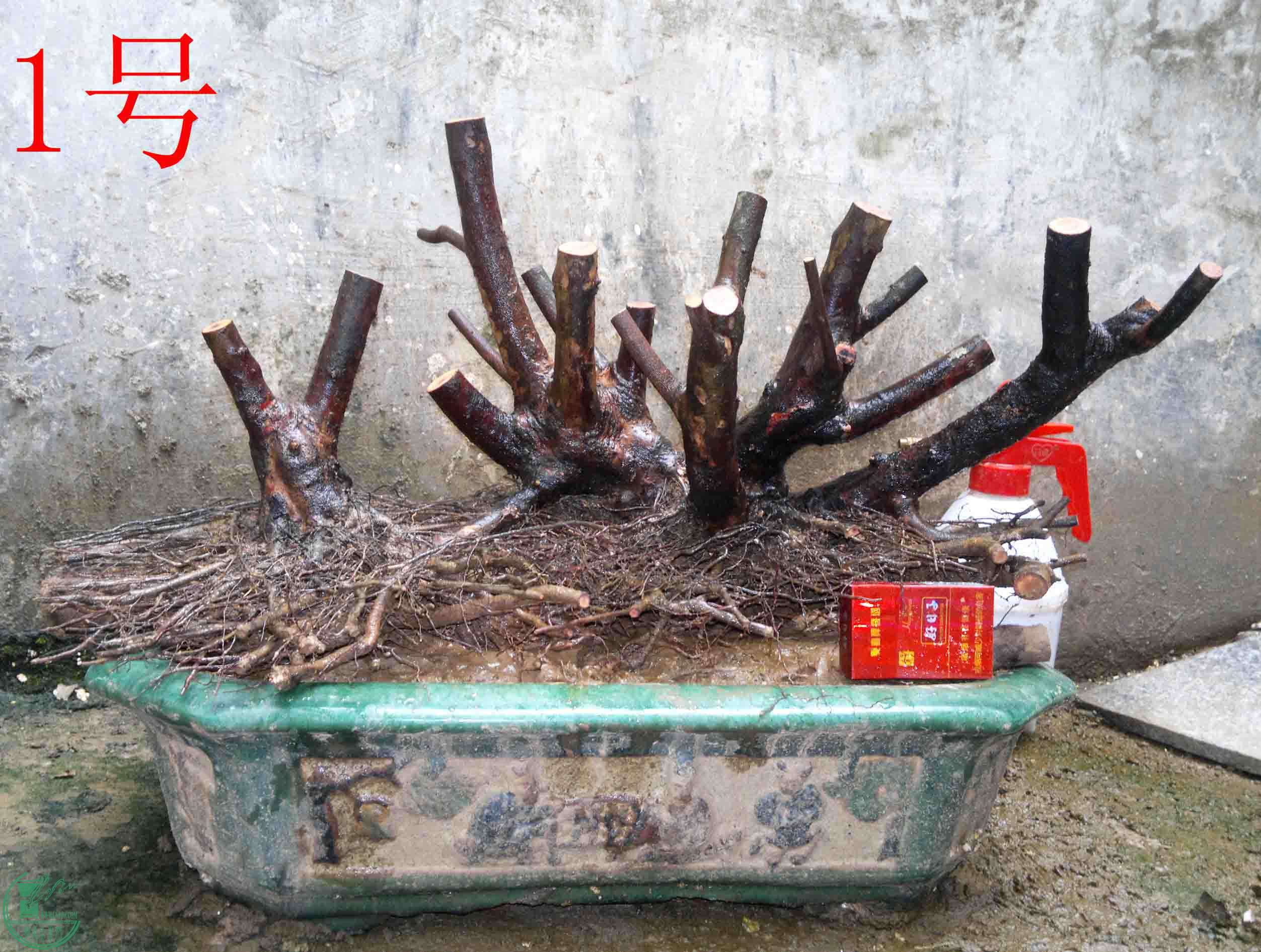 2016031713083.jpg
