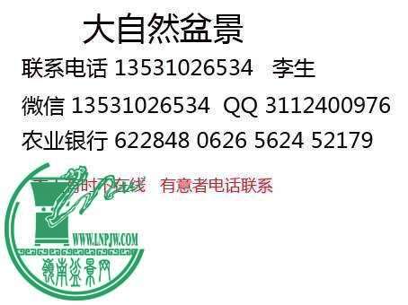 135057tg2vn2rxil2x29qv.jpg.thumb.jpg