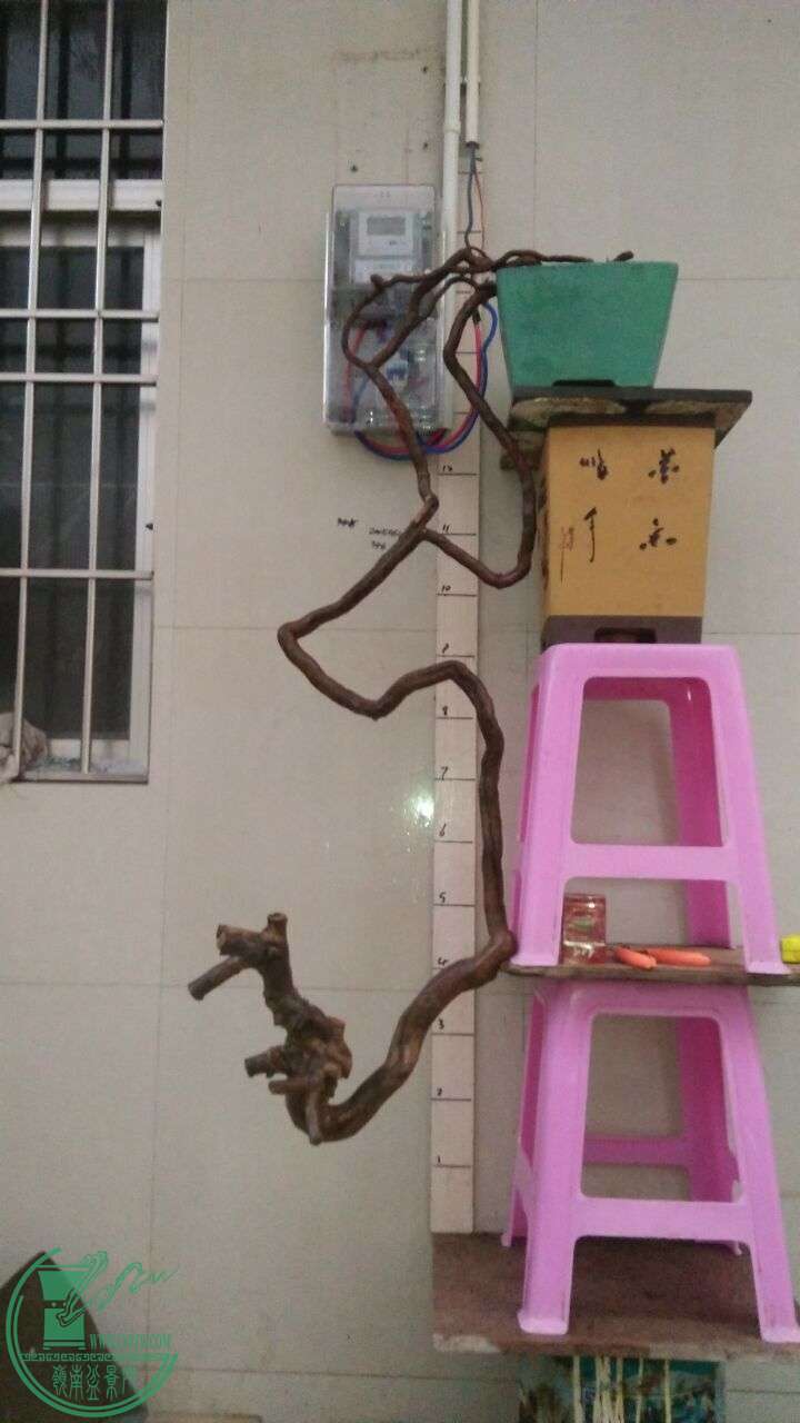 QQͼƬ20160318191028.jpg