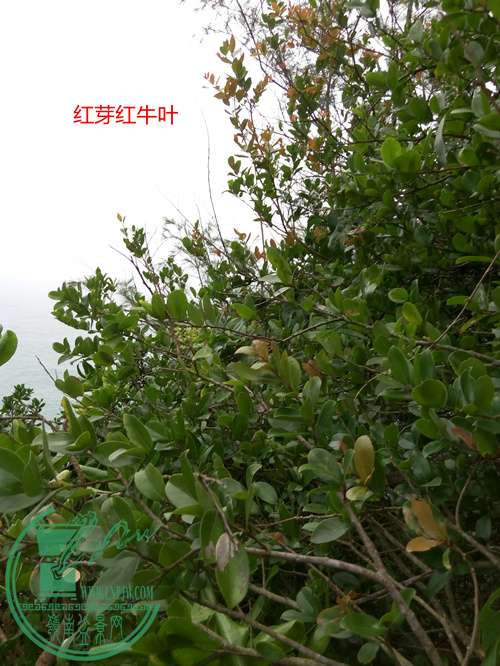 P60318-134237_.jpg