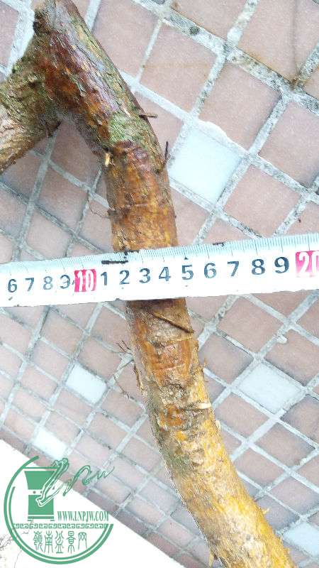 766434