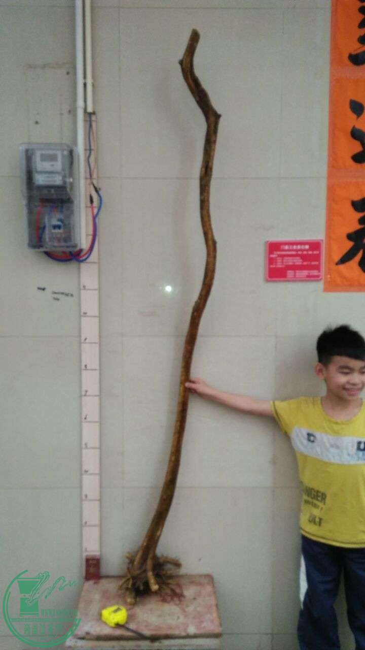 QQͼƬ20160319192422.jpg