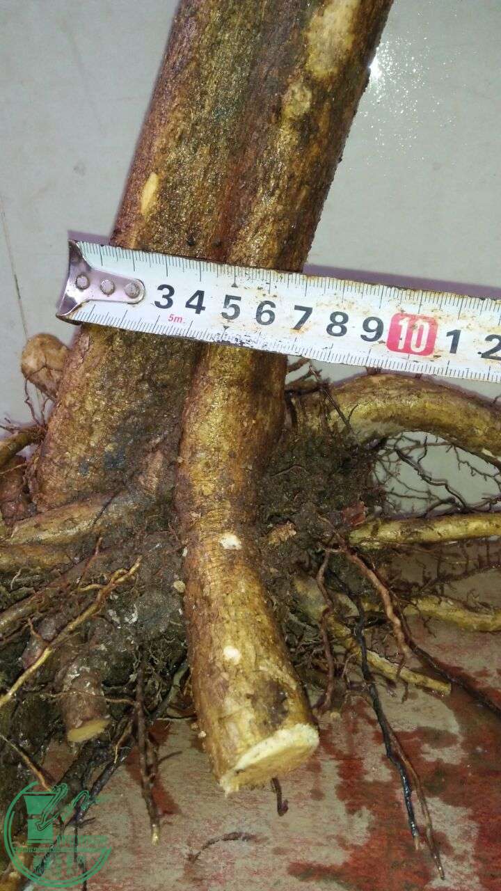 QQͼƬ20160319193012.jpg