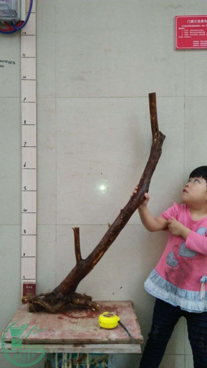 QQͼƬ20160319192429.jpg
