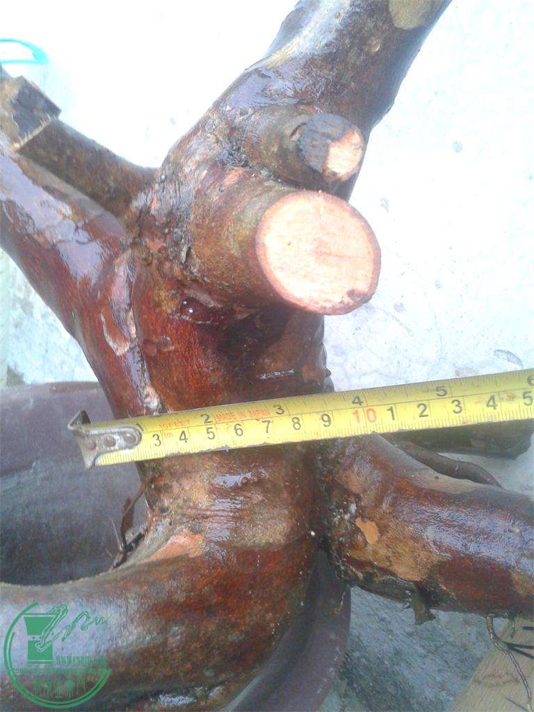 20160319_173802_ͼ.jpg