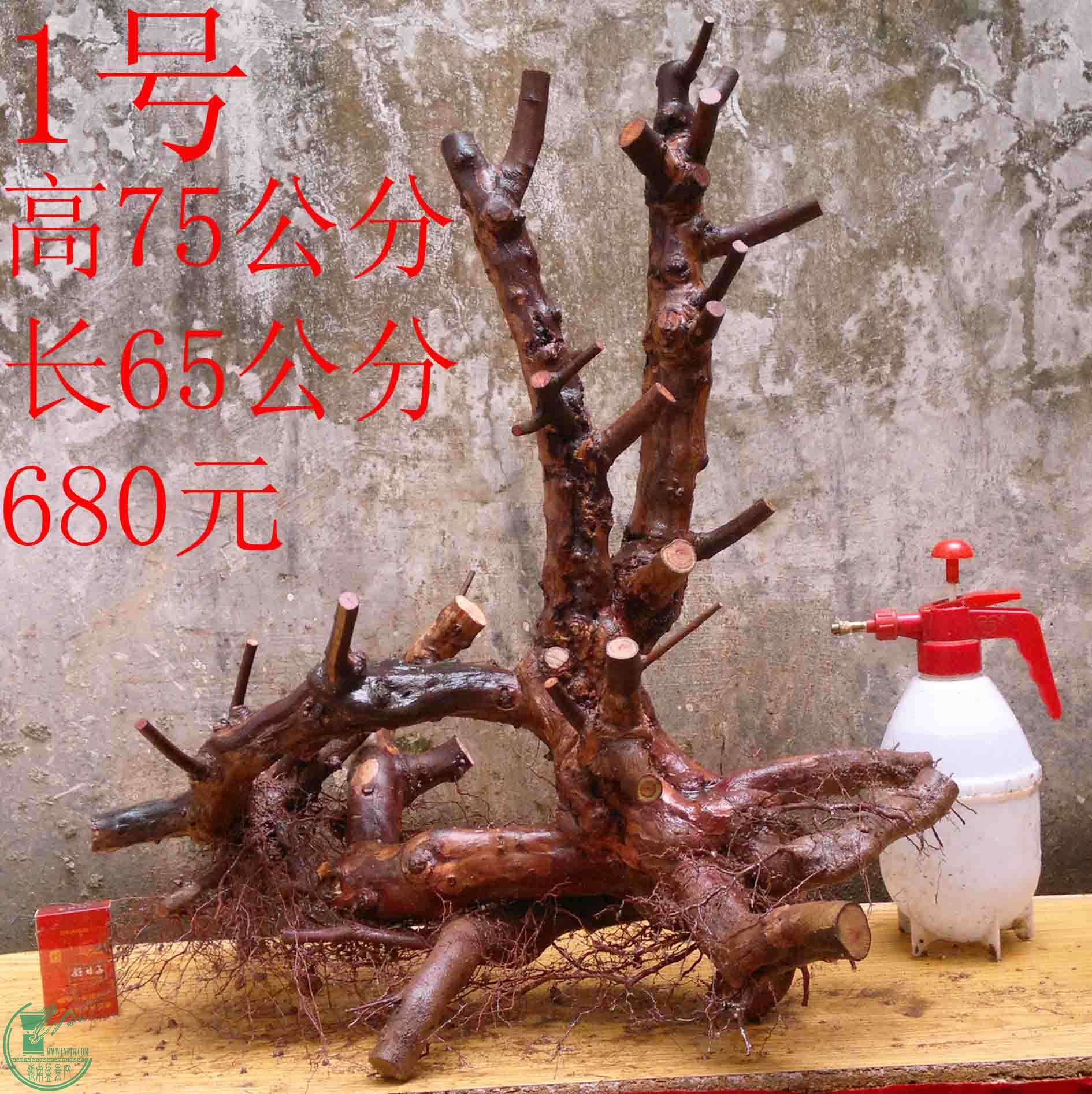2016031913190.jpg