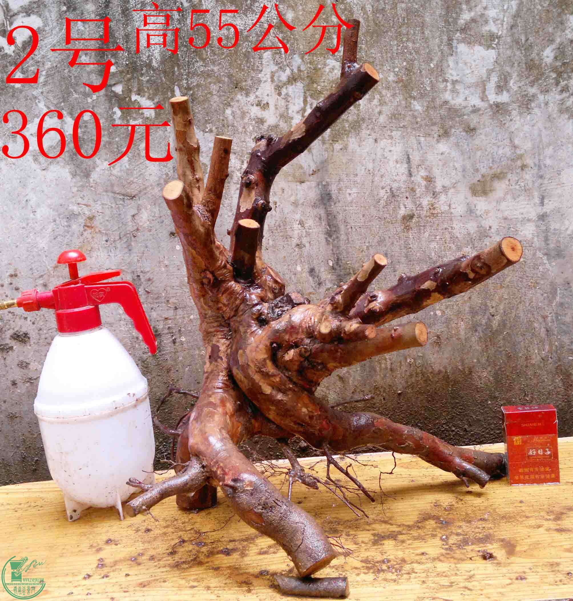 2016031913228.jpg