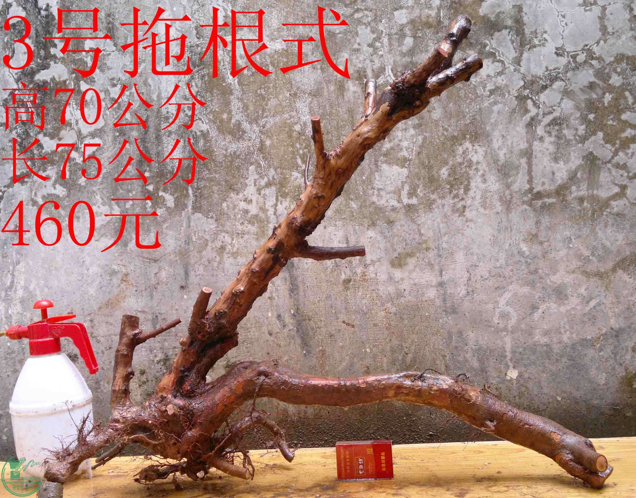 2016031913243.jpg