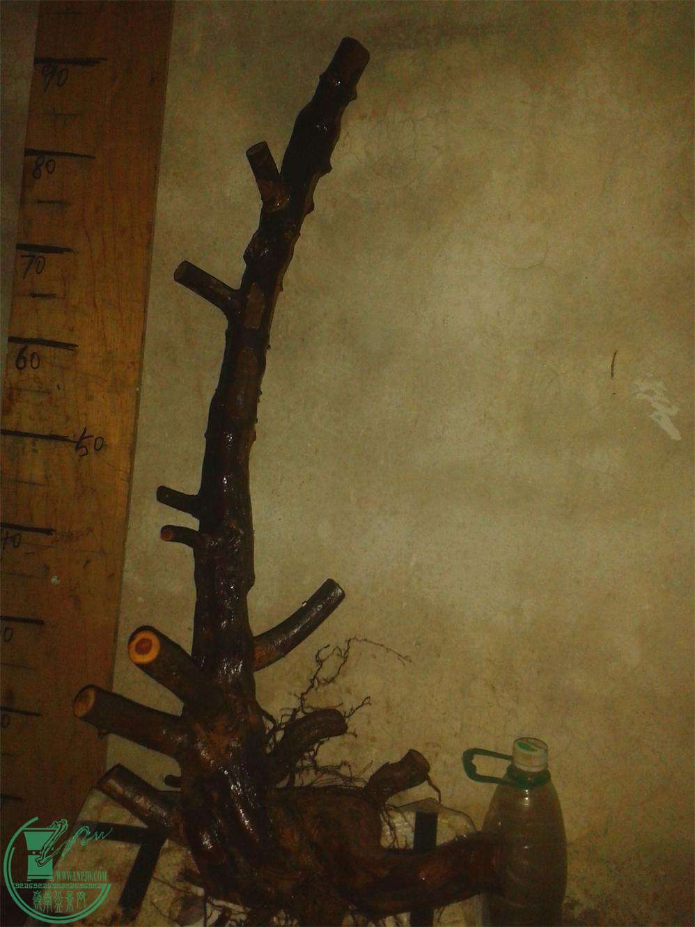 20160319_200814_ͼ.jpg