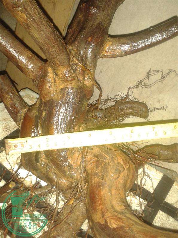 20160319_200844.jpg