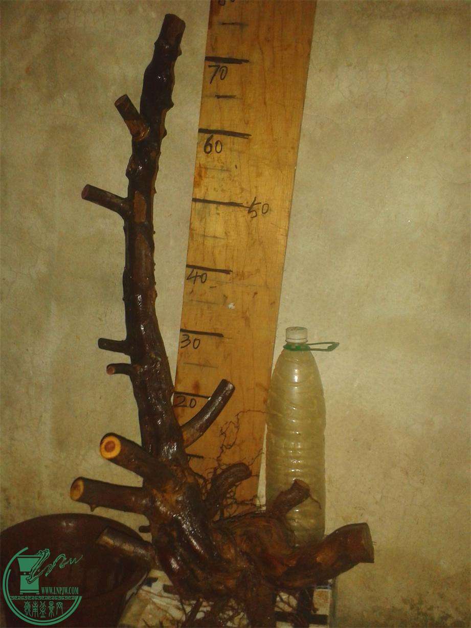 20160319_201008_ͼ.jpg