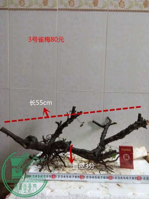 P60319-173539_.jpg