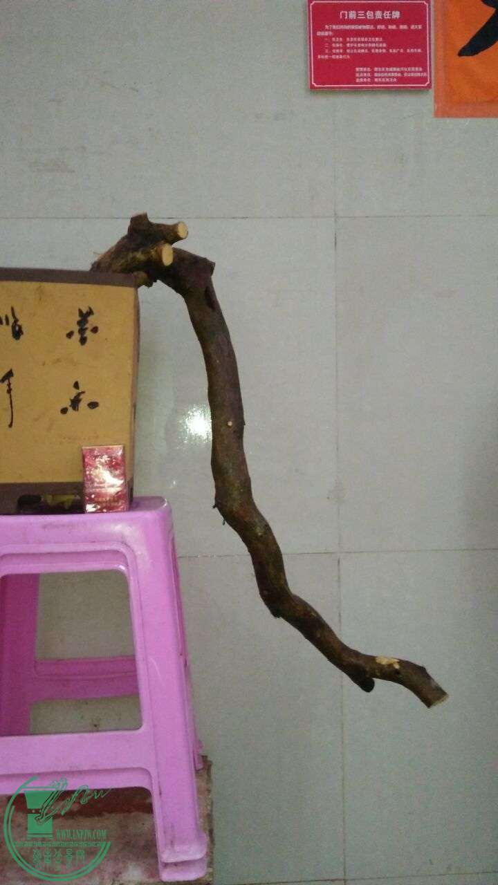 QQͼƬ20160319204914.jpg