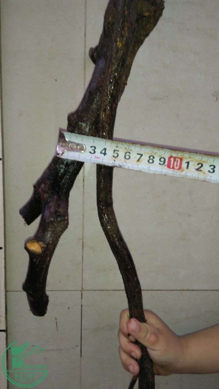 QQͼƬ20160319205026.jpg