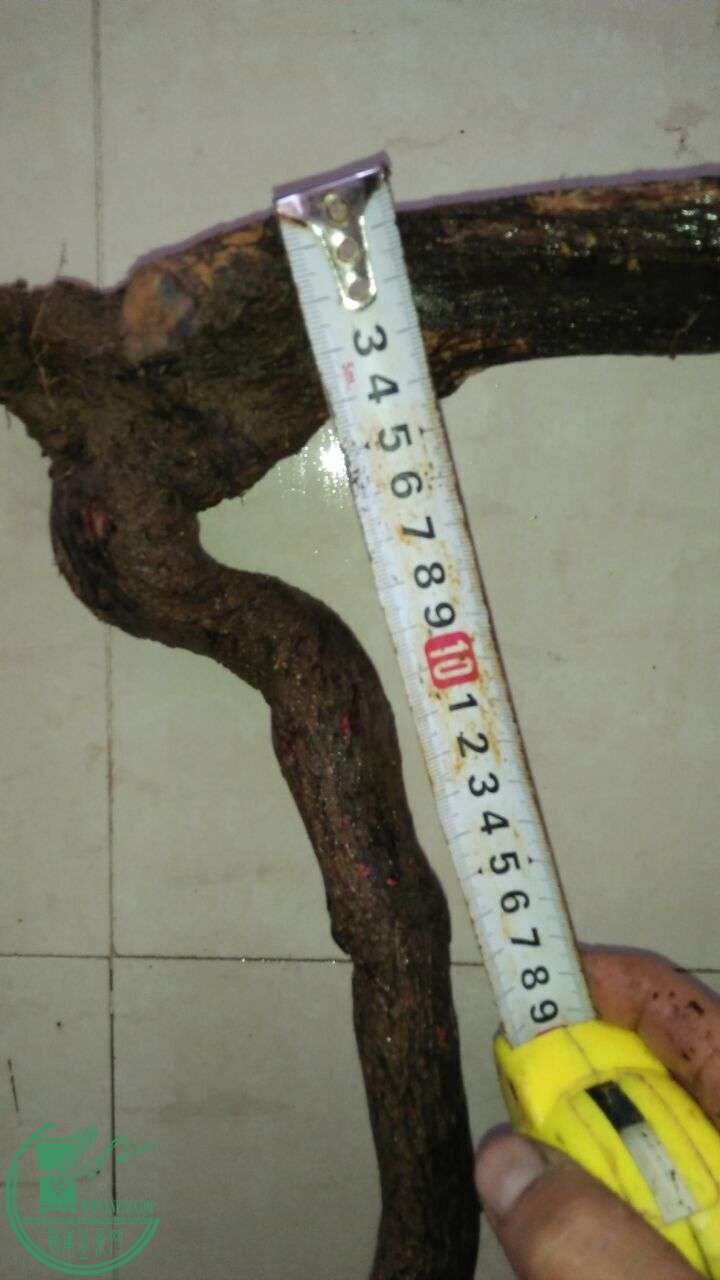 QQͼƬ20160319205007.jpg