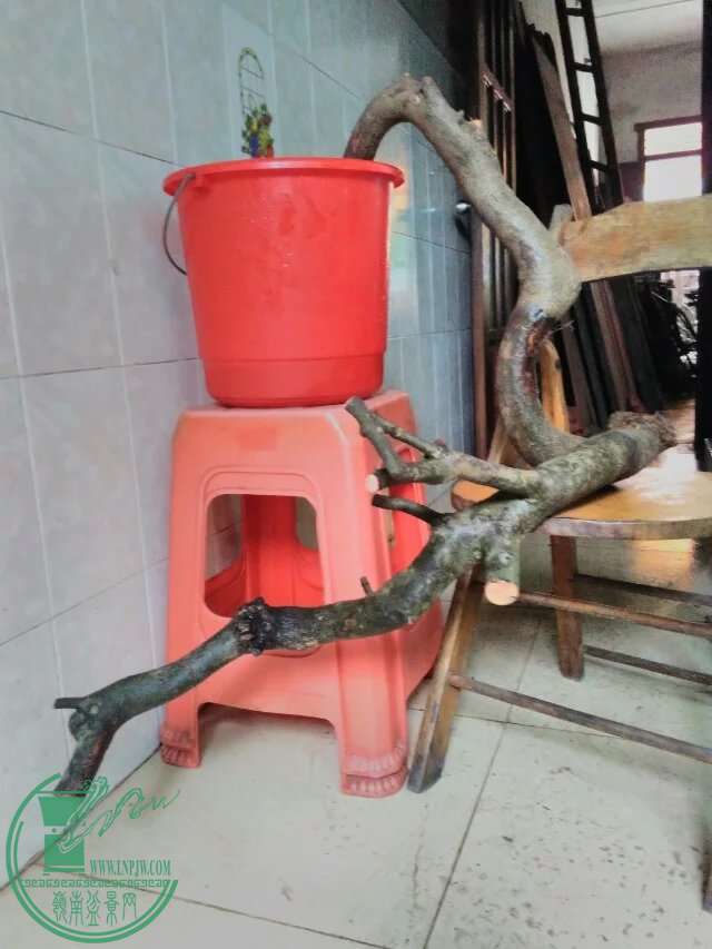 psb133.jpg