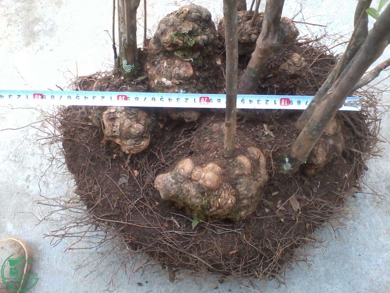 2016-03-05 14.23.20.jpg