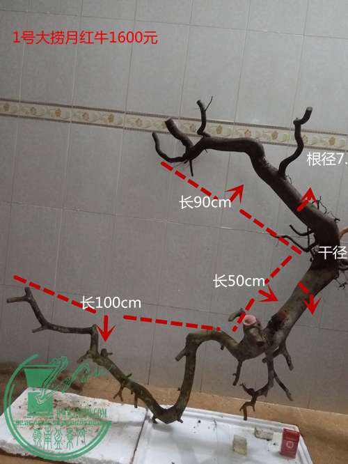 P60320-184755_.jpg