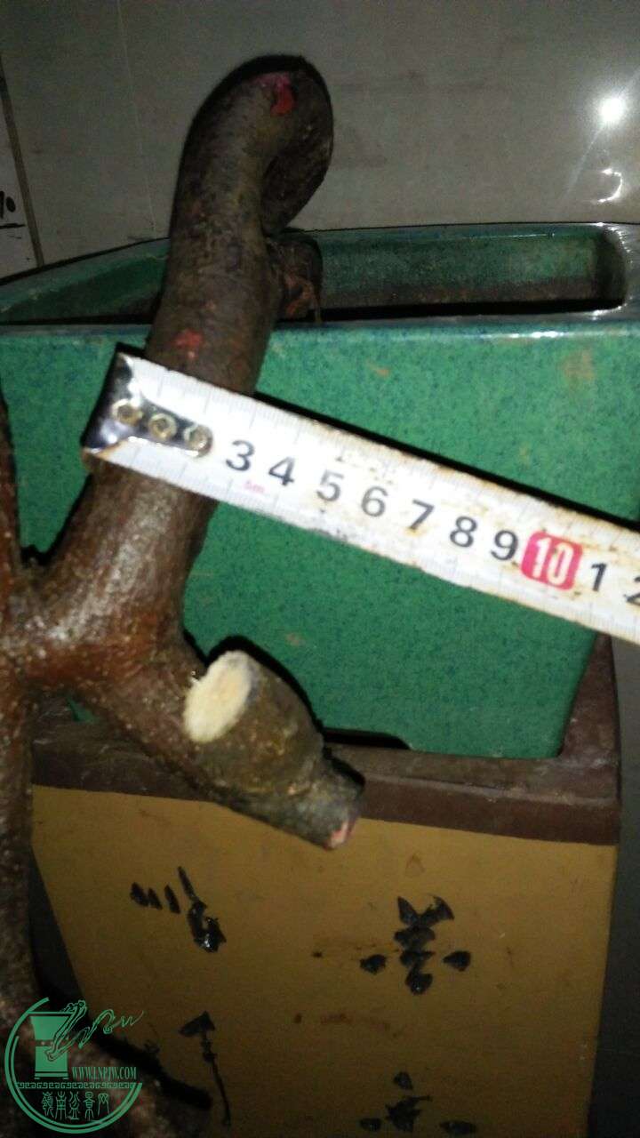 QQͼƬ20160320195136.jpg