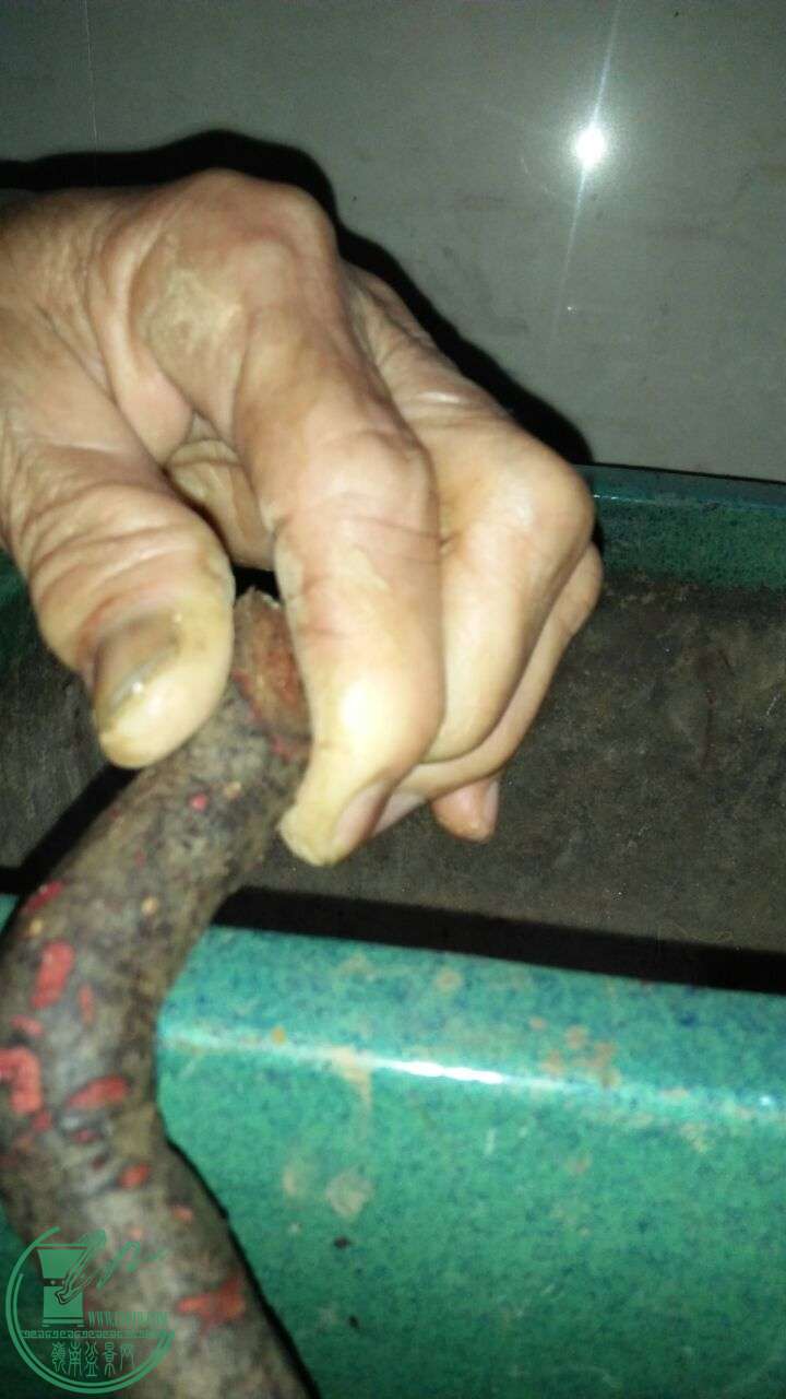 QQͼƬ20160320195146.jpg