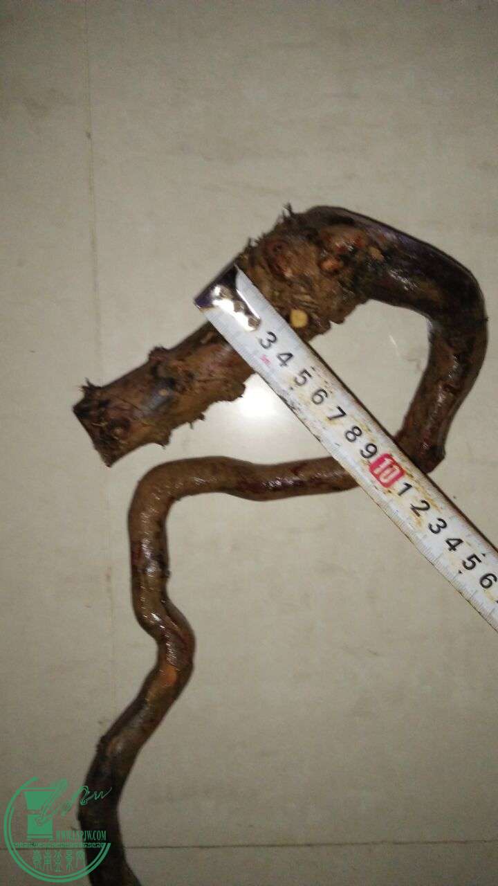 QQͼƬ20160320195323.jpg