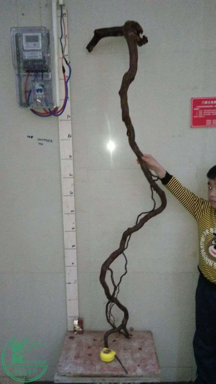 QQͼƬ20160320195407.jpg