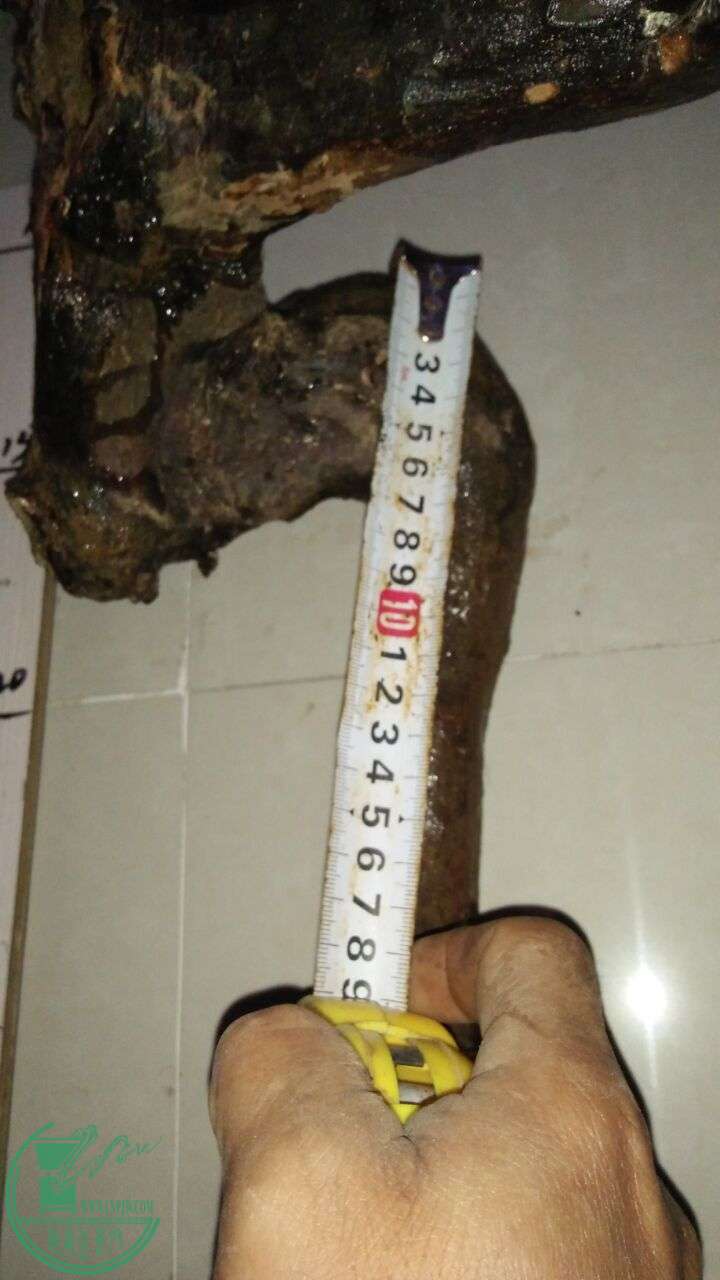 QQͼƬ20160320195349.jpg