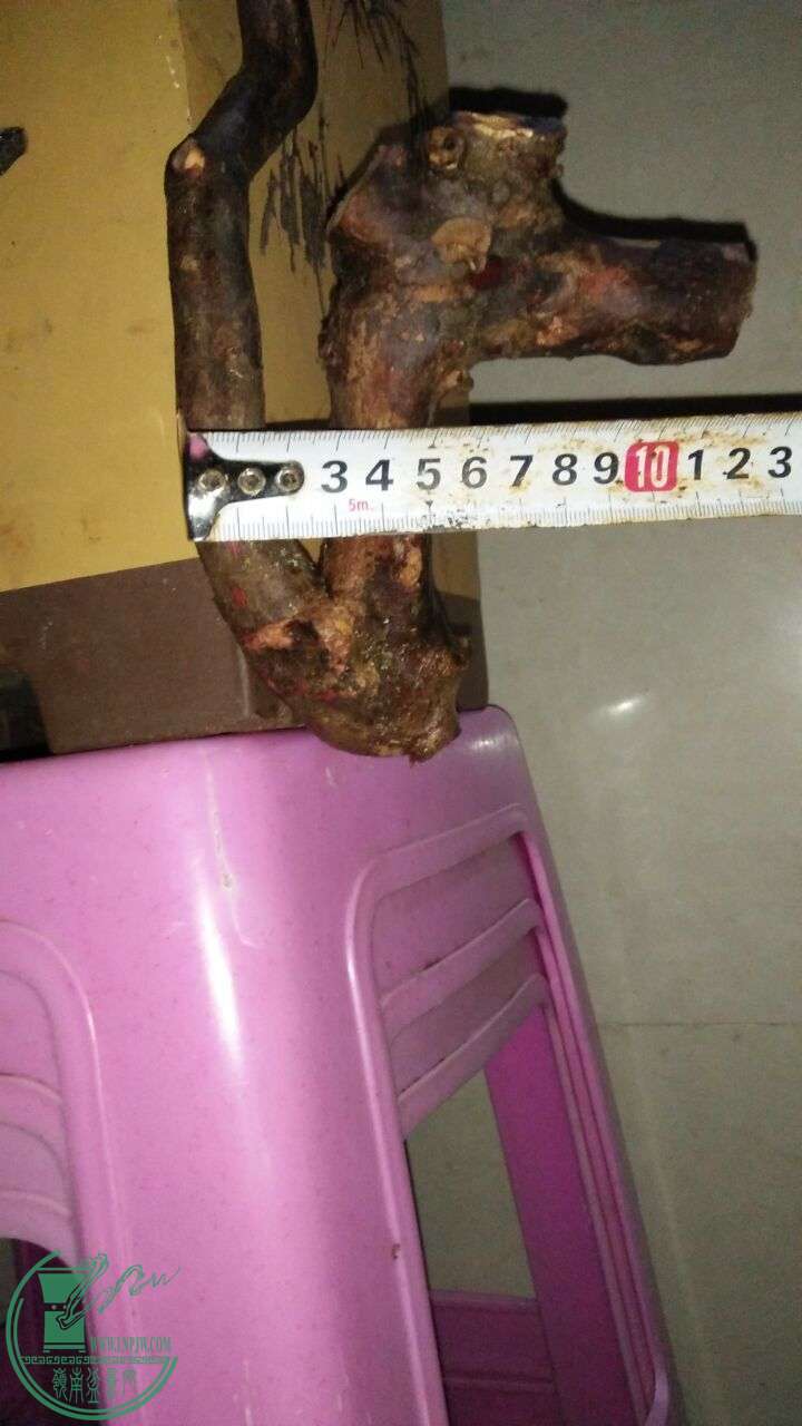 QQͼƬ20160320195026.jpg