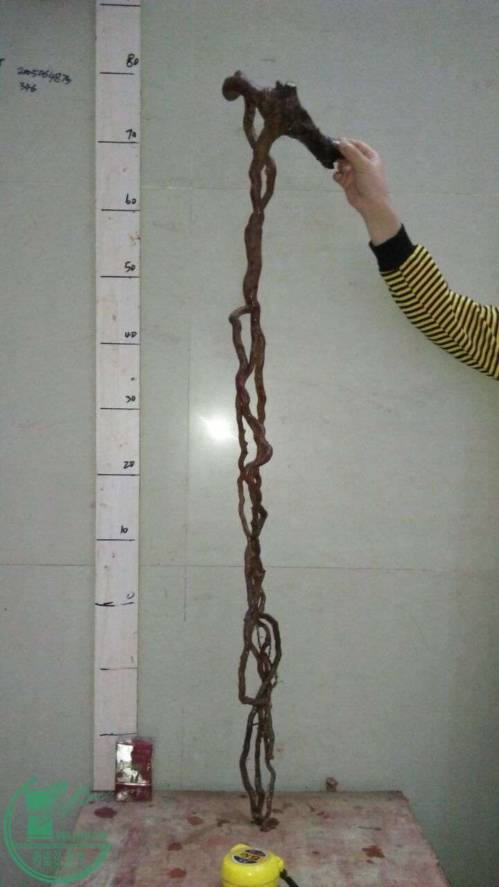 QQͼƬ20160320195354.jpg