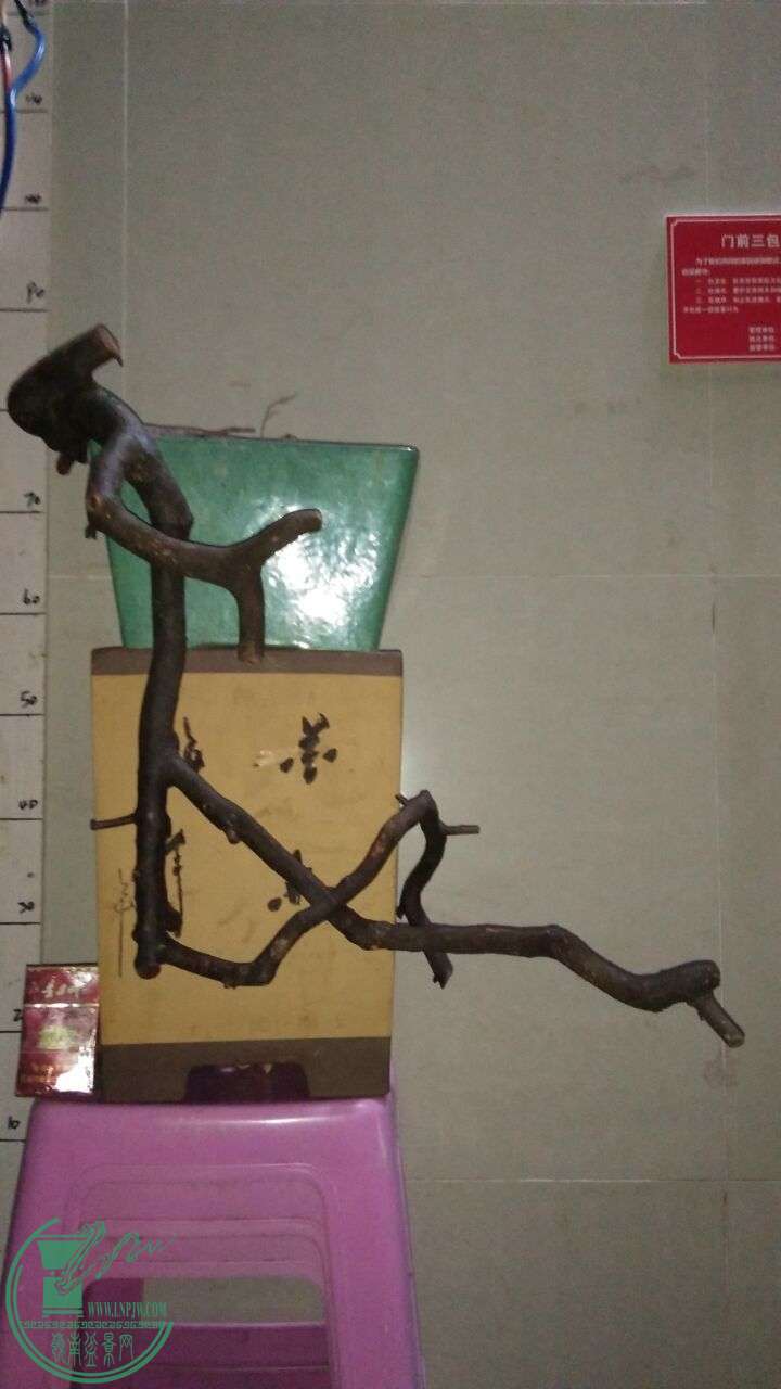 QQͼƬ20160320195113.jpg
