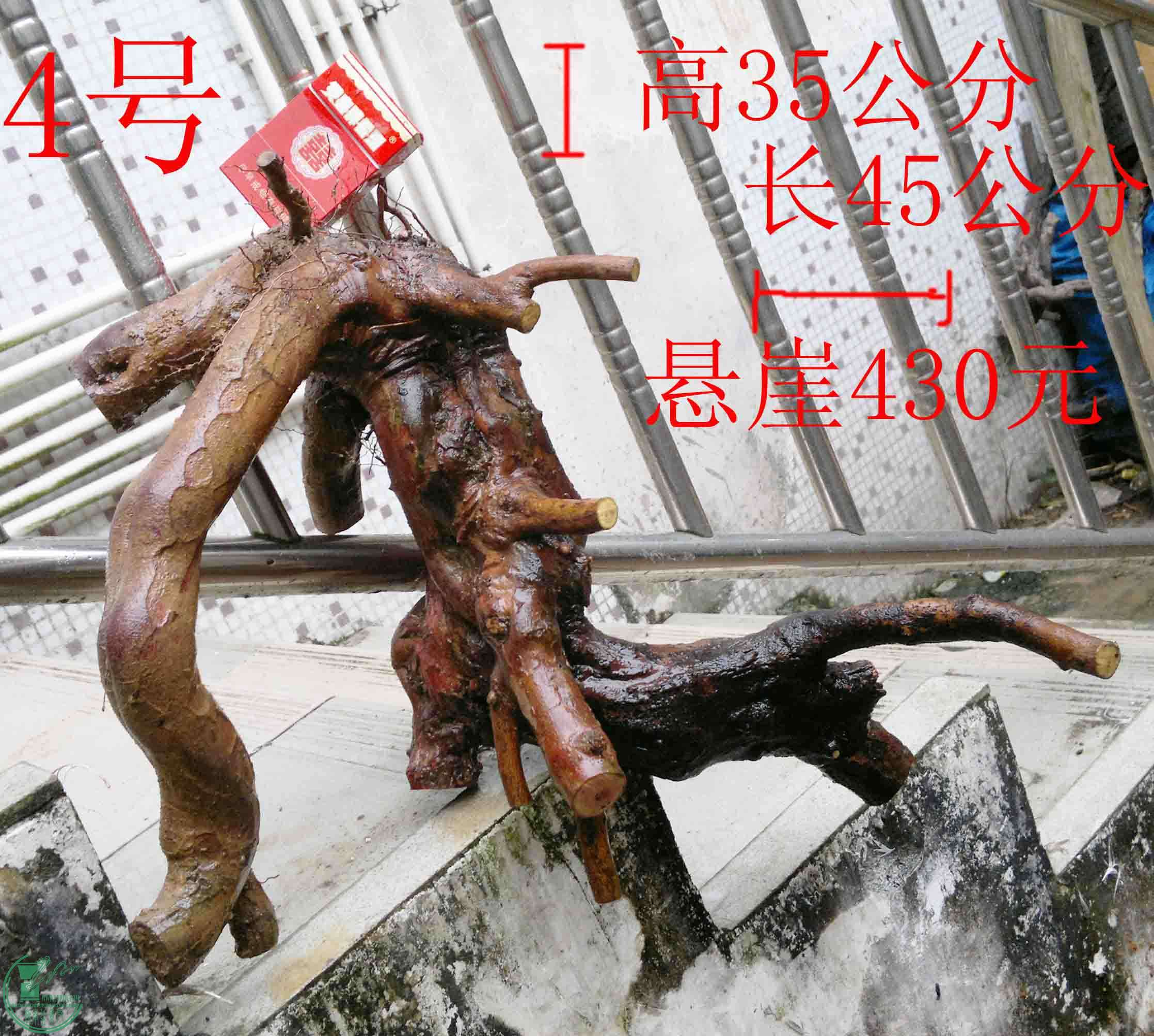 2016032113354.jpg