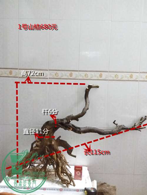 P60321-174625_.jpg