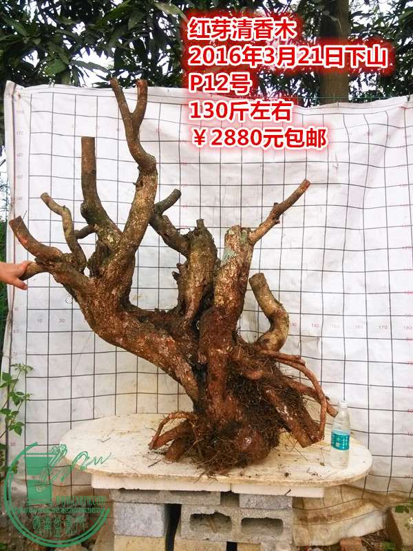 QQͼƬ20160321215859.jpg