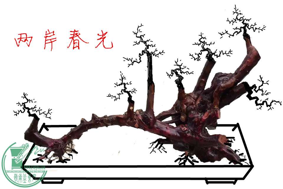 30.JPG