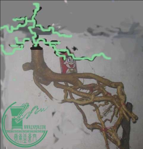 image.jpg