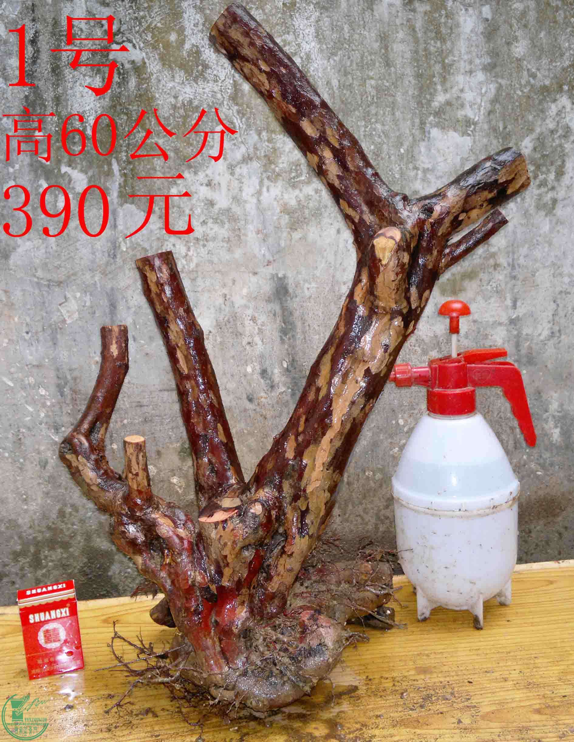 2016032113275.jpg
