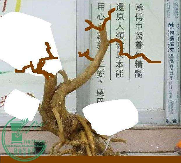 114750kub37j7ullq4p4be_jpg_thumb.jpg