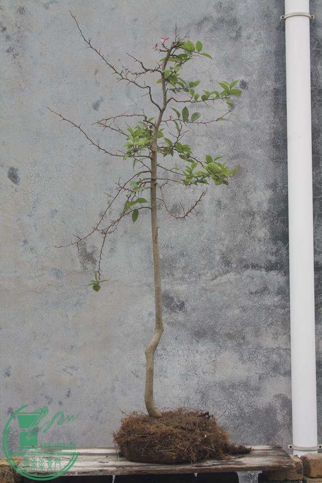 Ƭ20131026ۺ 1016.jpg
