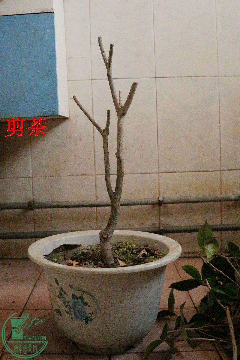 2.JPG