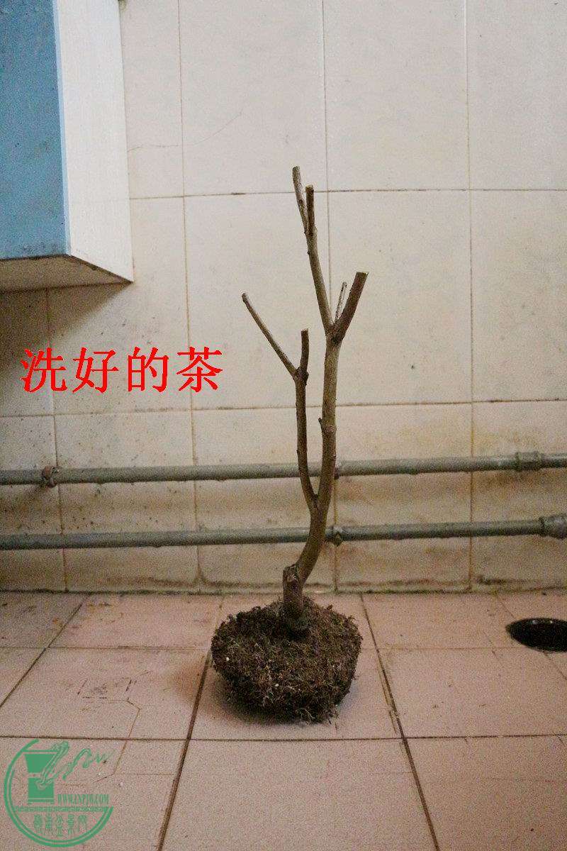 6.JPG
