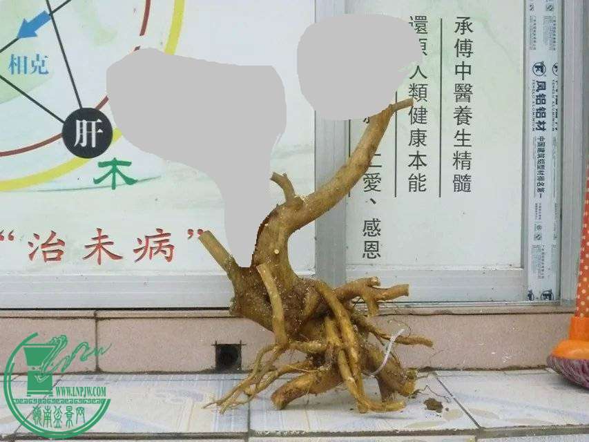 114750kub37j7ullq4p4be.jpg.thumb.jpg