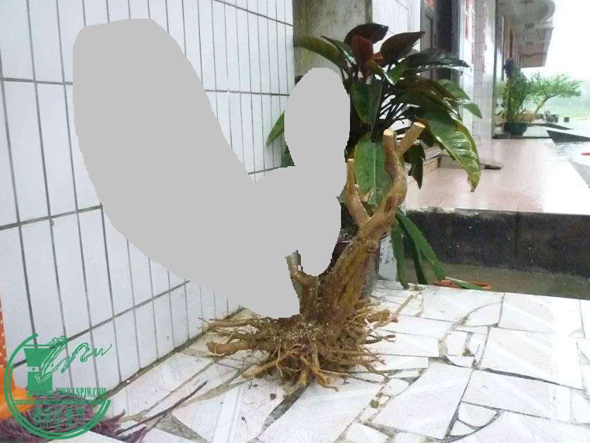 114726ftwu24cs1qwtu1wh.jpg.thumb.jpg