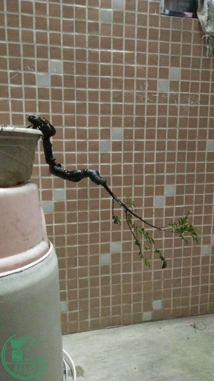 QQͼƬ20160322203010.jpg