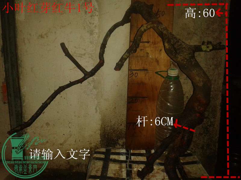 20160322_202225_.jpg