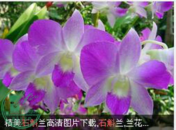 QQͼ20160316112740 .jpg