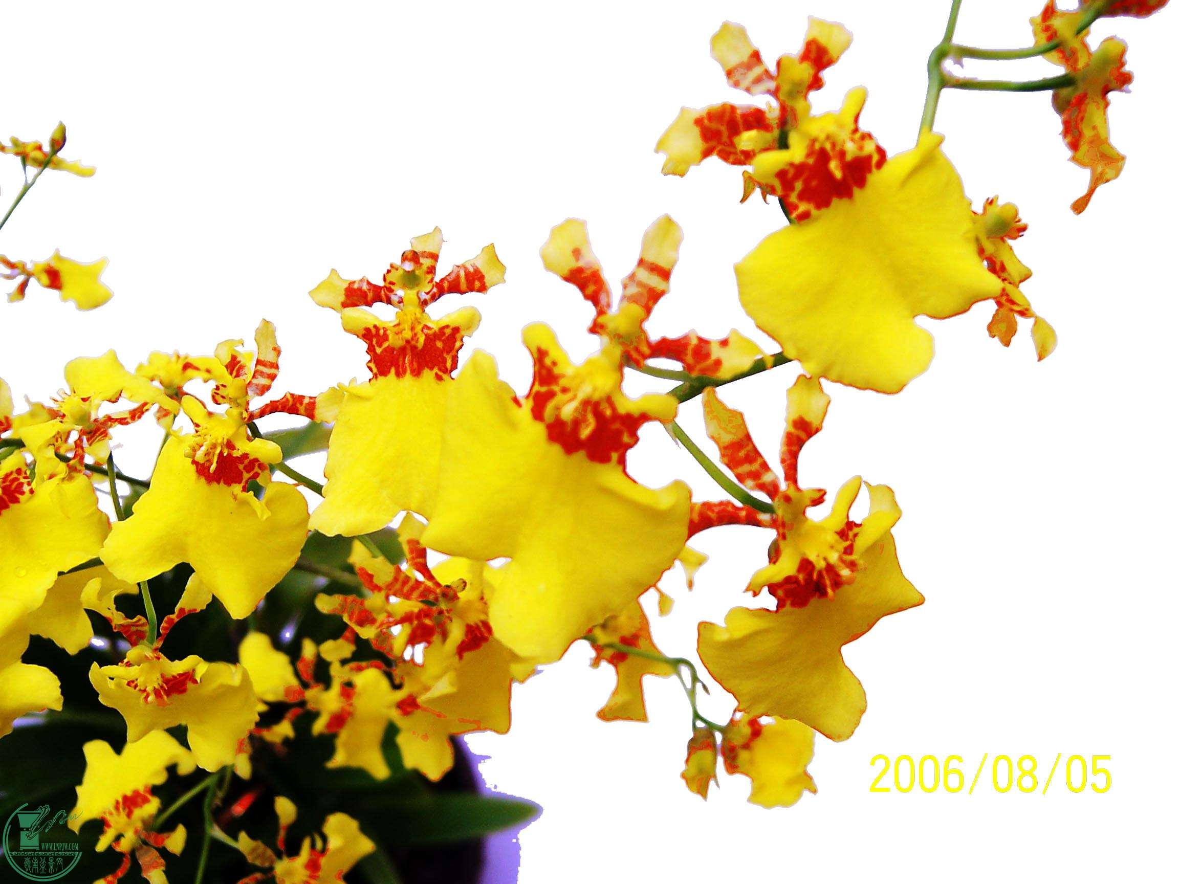 100_3147.jpg