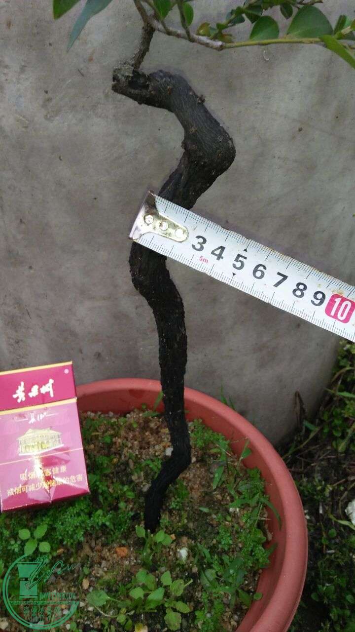 QQͼƬ20160323200444.jpg