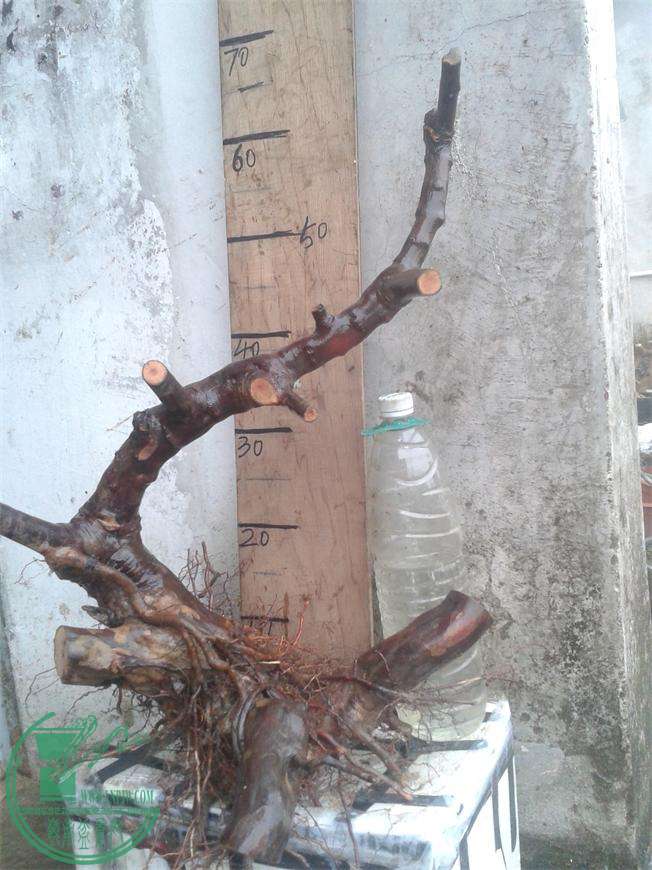 20160323_180513.jpg