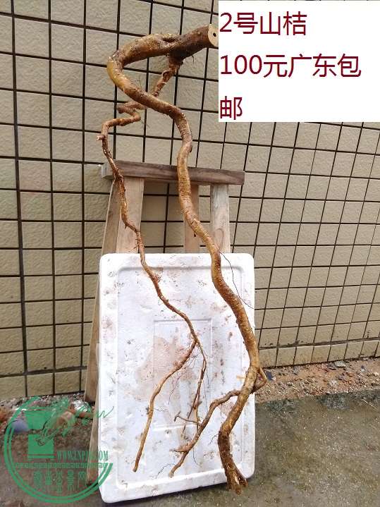 QQͼƬ20160323210714.jpg